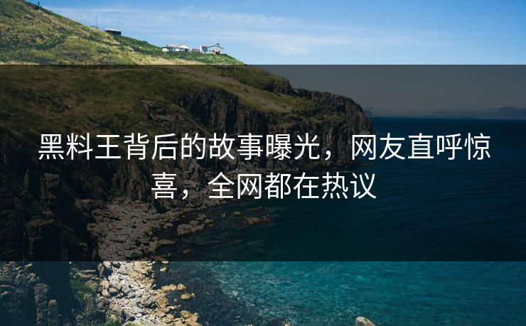 黑料王背后的故事曝光，网友直呼惊喜，全网都在热议