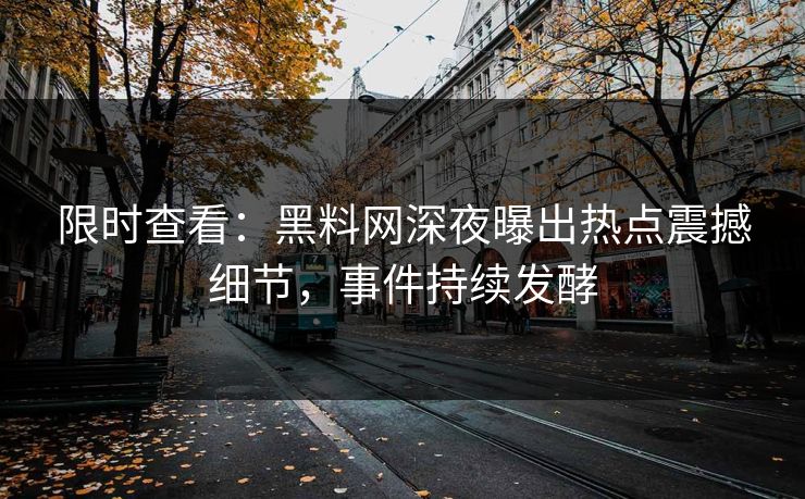 限时查看：黑料网深夜曝出热点震撼细节，事件持续发酵