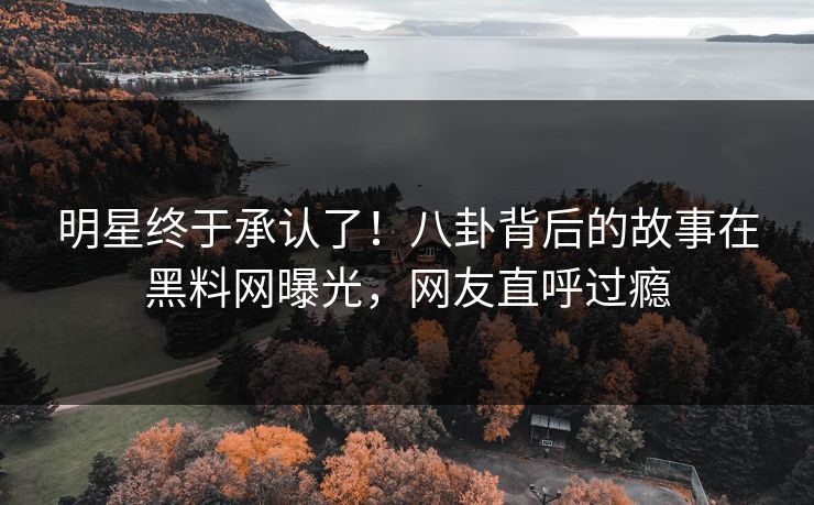 明星终于承认了！八卦背后的故事在黑料网曝光，网友直呼过瘾