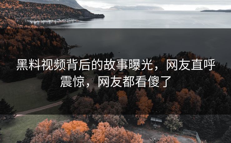 黑料视频背后的故事曝光，网友直呼震惊，网友都看傻了