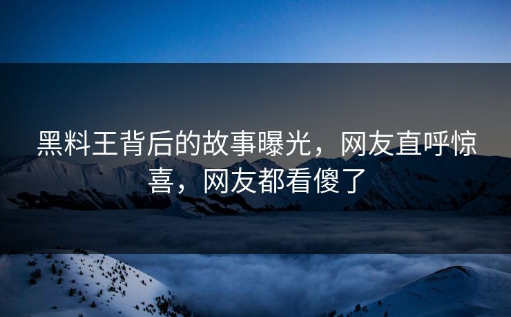 黑料王背后的故事曝光，网友直呼惊喜，网友都看傻了