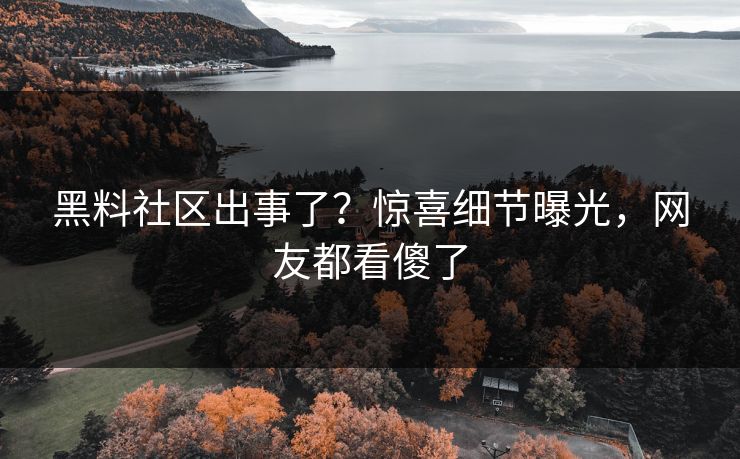 黑料社区出事了？惊喜细节曝光，网友都看傻了