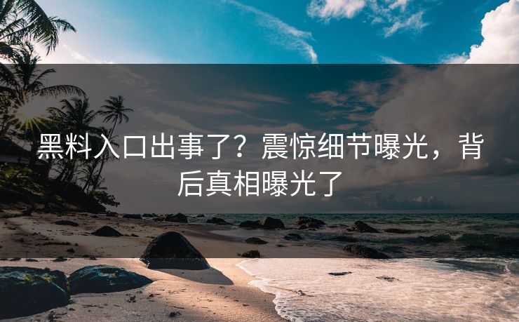 黑料入口出事了？震惊细节曝光，背后真相曝光了