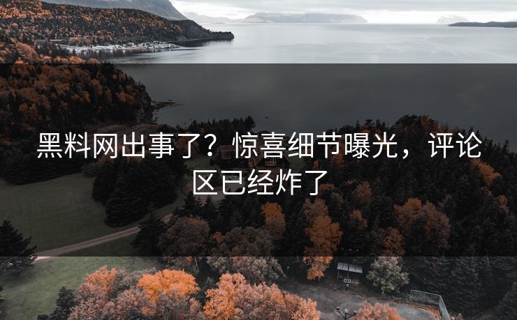 黑料网出事了？惊喜细节曝光，评论区已经炸了