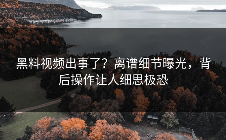 黑料视频出事了？离谱细节曝光，背后操作让人细思极恐