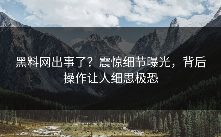 黑料网出事了？震惊细节曝光，背后操作让人细思极恐