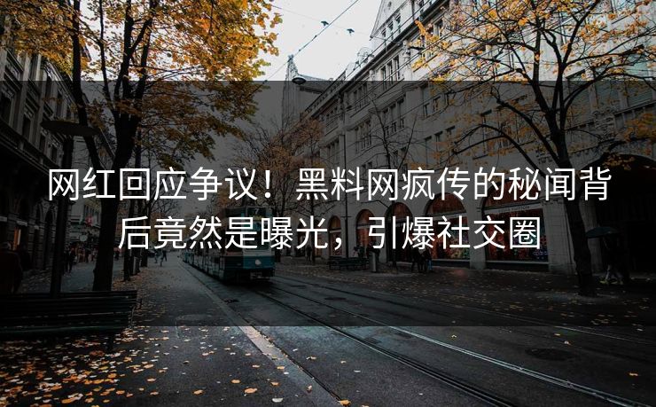 网红回应争议！黑料网疯传的秘闻背后竟然是曝光，引爆社交圈