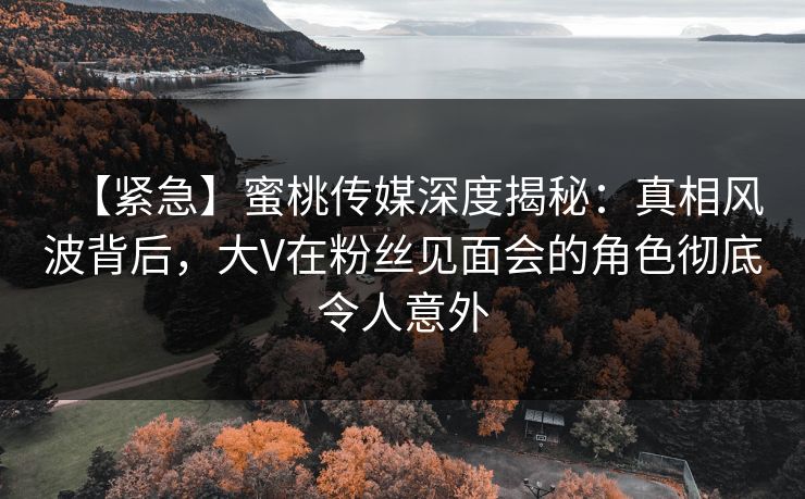 【紧急】蜜桃传媒深度揭秘：真相风波背后，大V在粉丝见面会的角色彻底令人意外