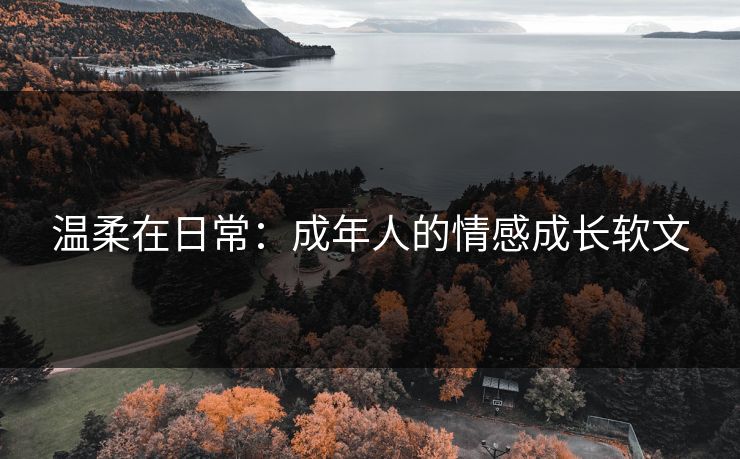 温柔在日常：成年人的情感成长软文