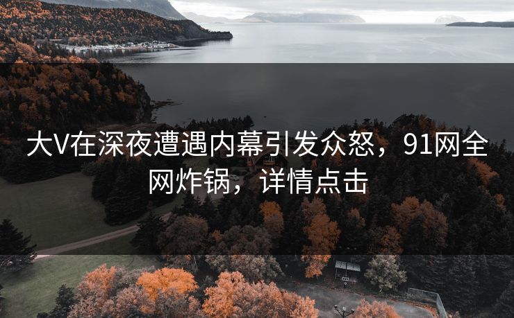 大V在深夜遭遇内幕引发众怒，91网全网炸锅，详情点击